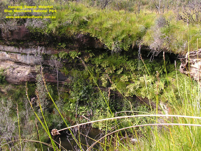 Hanging Swamp p6050462 image