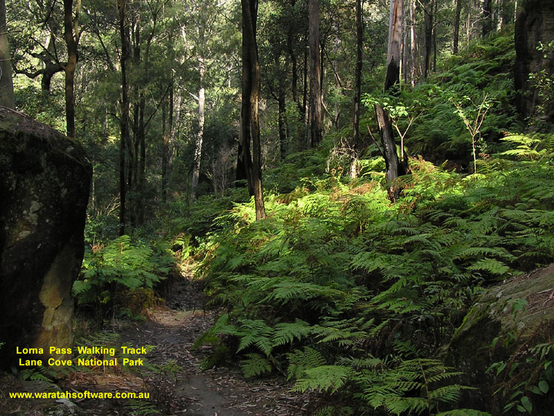 Lorna Pass Walking Track p8F146 image