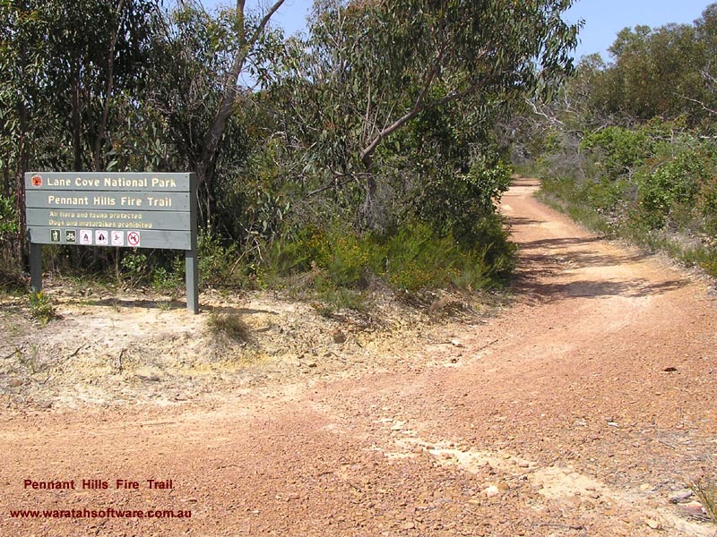 Pennant Hills Fire Trail p9300143 image
