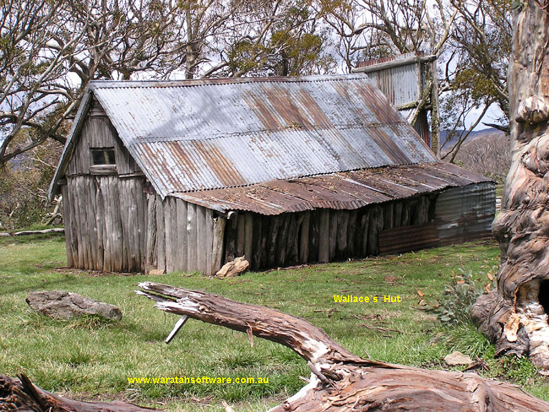 Wallace's Hut & Snow Gum pb080153 image