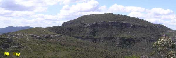 Mt Hay image pa100209 121KB