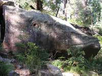 Whale Rock