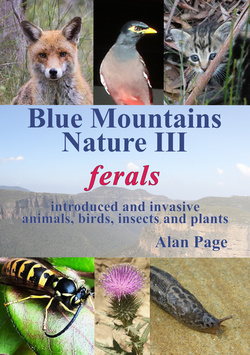 Blue Mountains Nature III cover