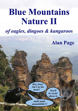Blue Mountains Nature II cover